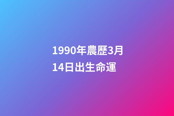 1990年農歷3月14日出生命運 (1990年3月14日陽歷)